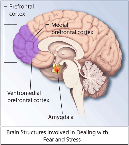 How Massage Therapy aids in relieving PTSD (Post Traumatic Stress Disorder)